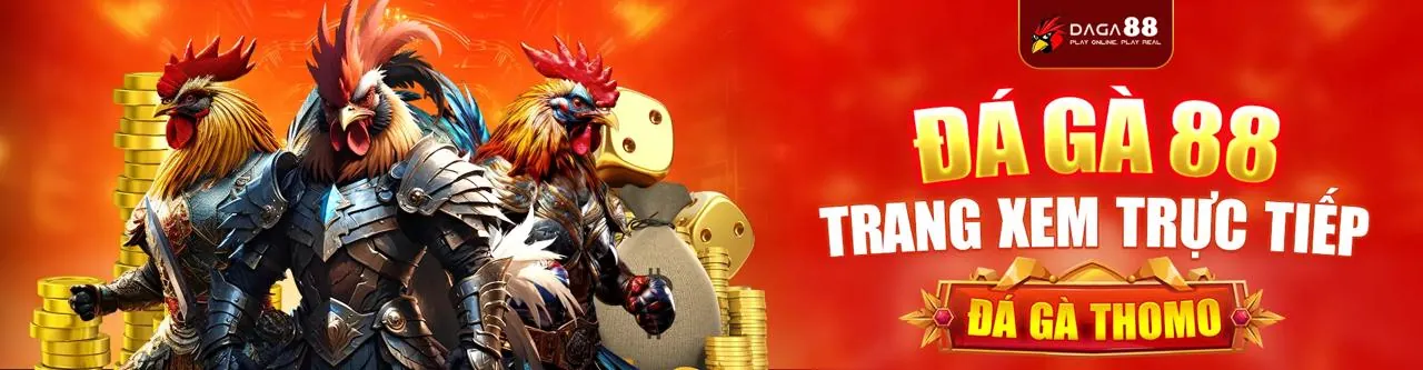 Hình ảnh đá gà trực tuyến keochinh, trường gà sôi động